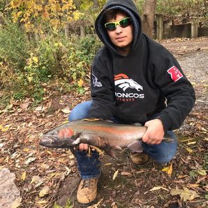 Meet your Posher, Brady